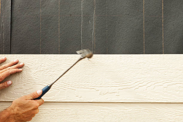 Best Siding Replacement  in Sardis, MS
